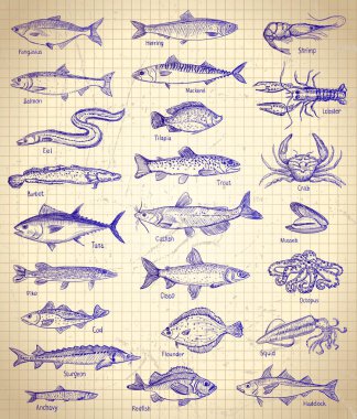 Balık ve deniz ürünleri grafik çizimi