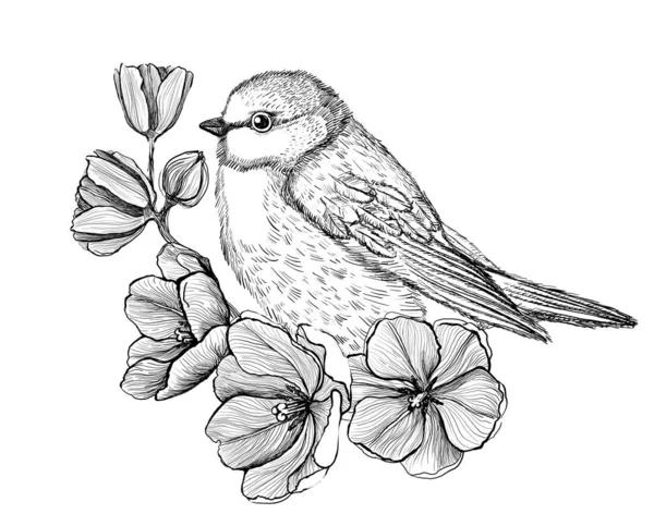 Illustrazione grafica d'arte di un uccello seduto su un ramo con fiori, schizzo del tatuaggio , — Vettoriale Stock