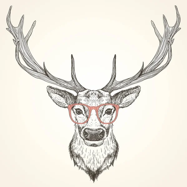 Hand drawn graphic sketch illustration of a deer head with big antlers and with red glasses — Stock Vector