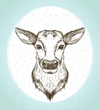 Female deer front view portrait, vintage style