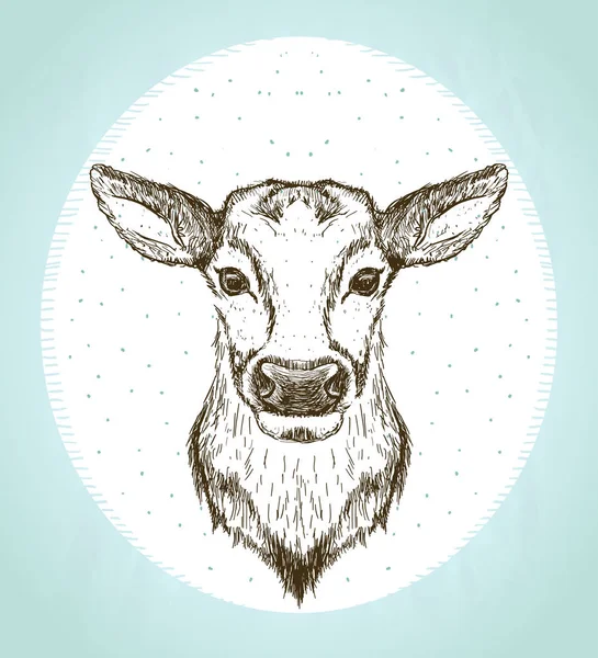 Female deer front view portrait, vintage style — 스톡 벡터