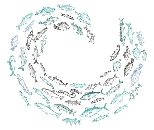 Grafische vectorillustratie van de school vissen — Stockvector