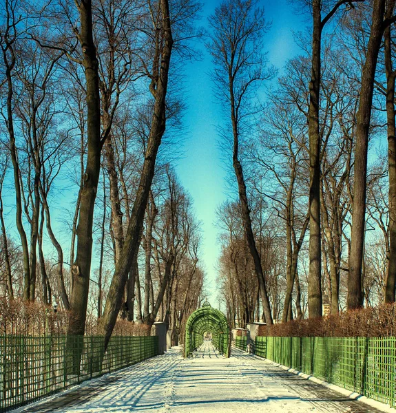 Summer Garden Lane Park Arch — Stock Photo, Image