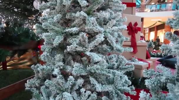 Grüne Kiefernzweige Mit Frostigen Zweigen Grüner Fichten Bedeckt Raureif Schnee — Stockvideo