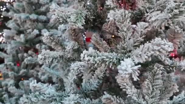 Gröna Tallgrenar Täckta Med Frostgrenar Grön Gran Hesparfrost Snö Ligger — Stockvideo