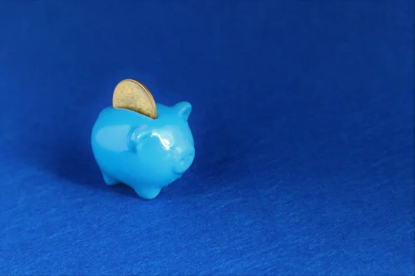 Blue Piggy banco com moeda na cor da moda do ano 2020 em classi — Fotografia de Stock