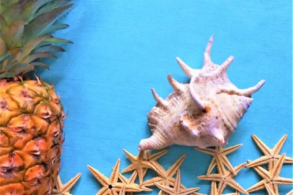 Estrela-do-mar branca com abacaxi — Fotografia de Stock