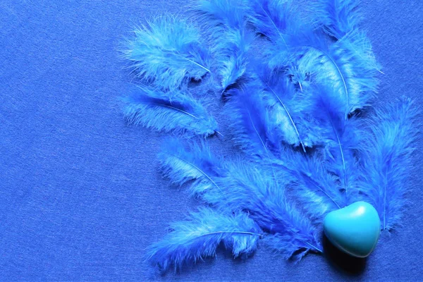 Niebieskie serce na niebieskich piórach ptaków w modnym kolorze na klasycznej blu — Zdjęcie stockowe