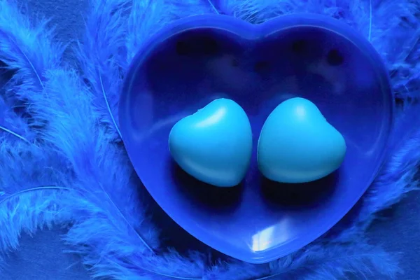 Dois corações azuis em penas de pássaro azul na cor da moda do ano 20 — Fotografia de Stock
