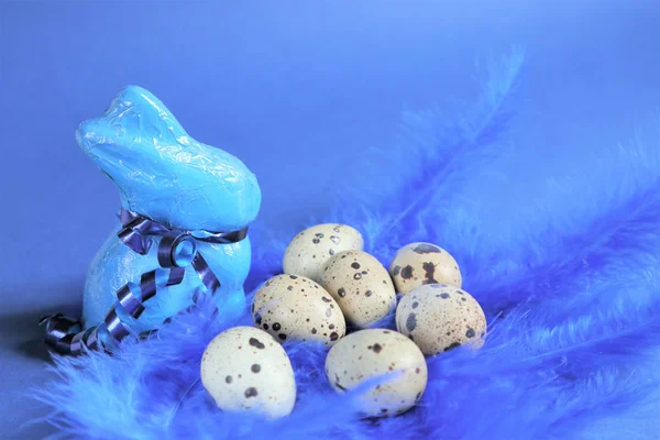 Easter concept. Quail eggs and blue rabbit on blue bird feathers — Stock Photo, Image