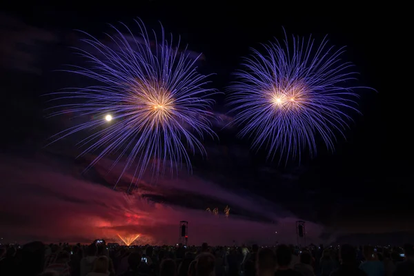 Fireworks light up the sky — Stock Photo, Image