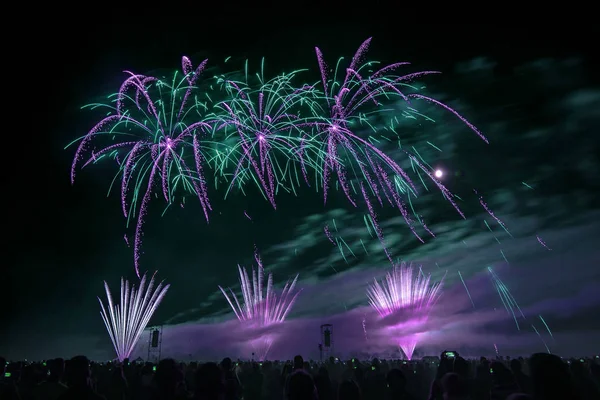 Fireworks light up the sky — Stock Photo, Image