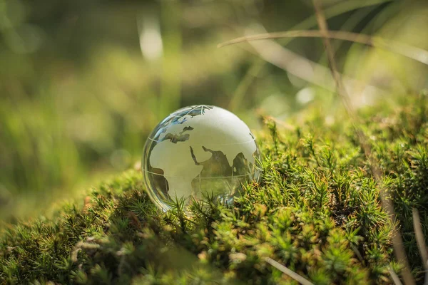 Concept Environnement Globe Verre Dans Herbe — Photo