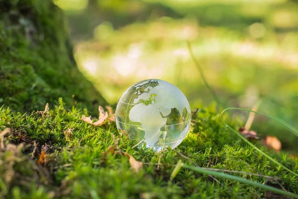 环境概念 玻璃全球中草 — 图库照片