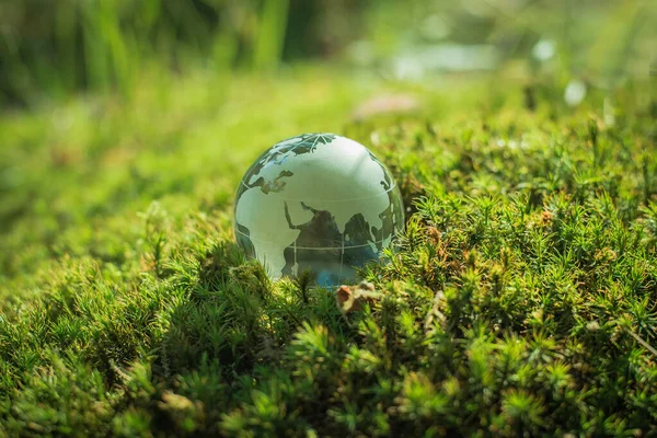 Conceito Ambiente Globo Vidro Grama — Fotografia de Stock