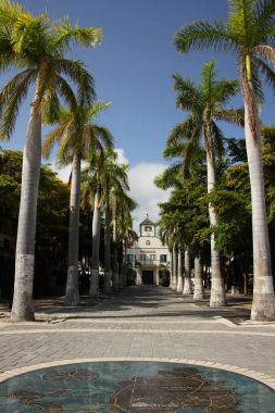 Sokaklar ve Court house Philipsburg, St Maarten, Caribbean palm ile şehrin merkezine kaplı.
