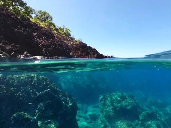 Både över och under vattnet av kusten, Guadeloupe, franska Västindien. — Stockfoto