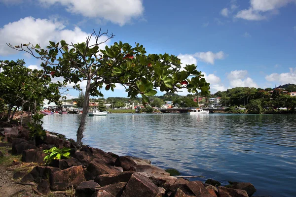 Zobrazit přes přístav směrem k Castries, Svatá Lucie, Karibská oblast. — Stock fotografie