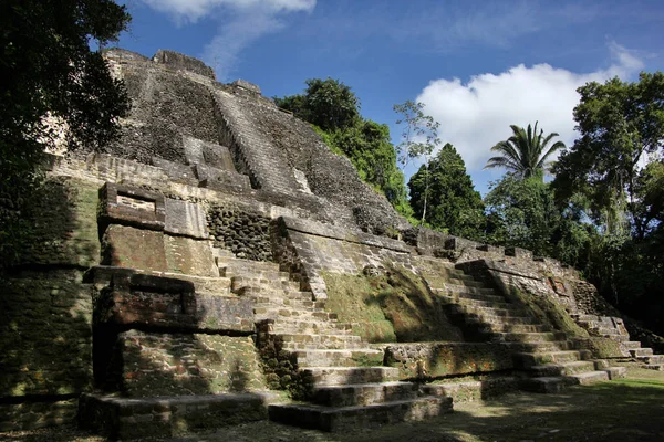 O Templo Alto de Lamanai, é um sítio arqueológico mesoamericano, e já foi uma grande cidade da civilização maia, localizada no norte de Belize, no Orange Walk District . — Fotografia de Stock