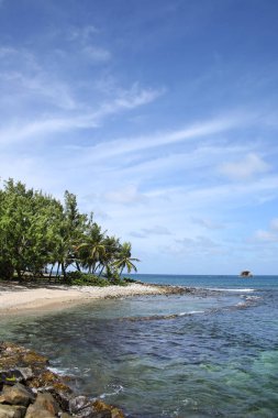 Palmiye ağaçları, Gros adacık kıyı şeridi, Saint Lucia, Caribbean ile güzel tropikal plaj. 