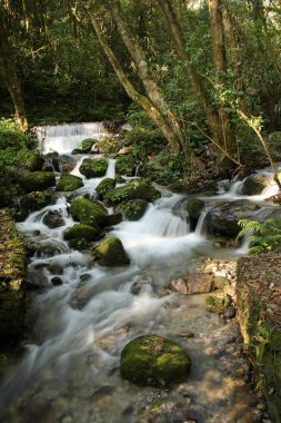 Güzel şelale Shivapuri Nagarjun Milli Parkı, Katmandu, Nepal.