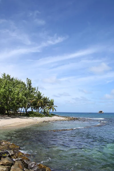 Praia tropical bonita com palmeiras, Gros Islet litoral, Santa Lúcia, Caribe . — Fotografia de Stock