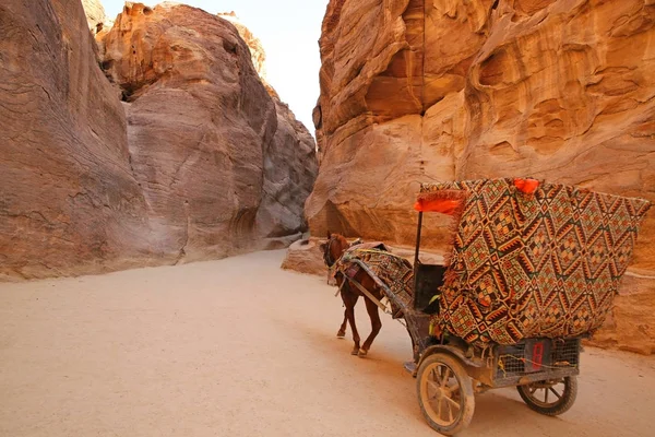 Horse & Cart se déplaçant le long du chemin à travers le Siq, qui est le passage étroit de gorge que vous marchez le long pour atteindre Petra, Jordanie . — Photo