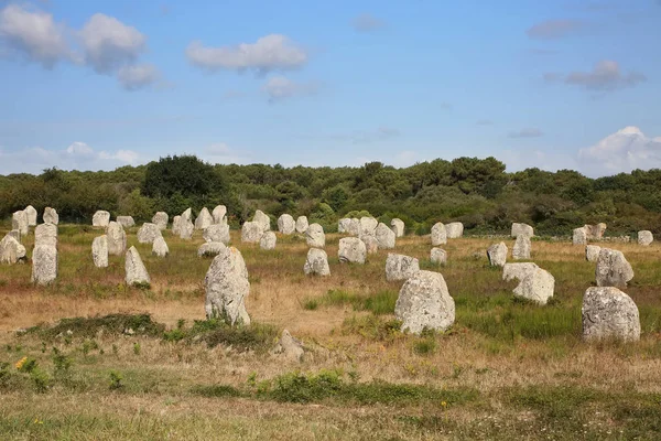 Tusentals förhistoriska stenar utspridda över tre riktningar i Carnac, Bretagne, nordvästra Frankrike. — Stockfoto