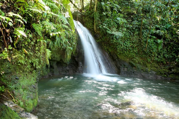 Raci Vodopád Nebo Cascade Aux Ecrevisses Guadeloupe Národní Park Guadeloupe — Stock fotografie