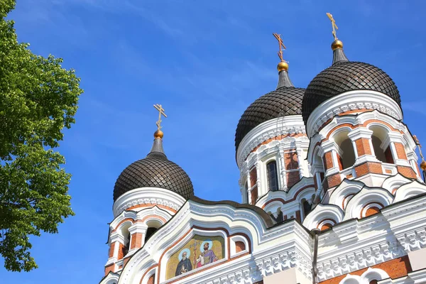 알렉산더 네브스키 대성당 Alexander Nevsky Cathedral 에스토니아 타운에 전통적 성당이다 — 스톡 사진