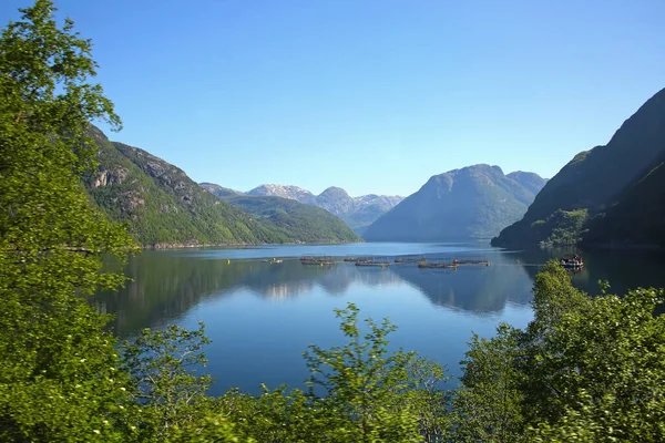 Granja Peces Hardangerfjord Hermoso Ambiente Fiordo Con Reflejos Las Montañas — Foto de Stock