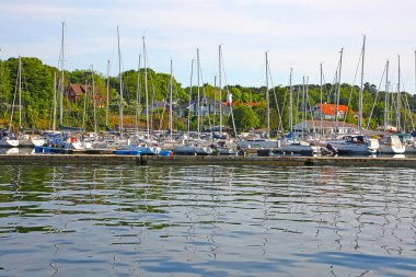 Stavanger Gjestehavn marinası suda bir sürü tekne ve yatla, ve arka planda ağaçlar, Stavanger, Rogaland, Norveç. 