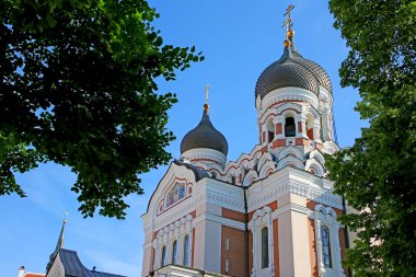 Nevsky Katedrali, Estonya 'nın Tallinn şehrinde bulunan bir ortodoks katedralidir.. 
