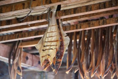 Skarsvag, Norveç 'in Troms og Finnmark bölgesinde, Mageroya Adası' nın Nordkapp Belediyesi 'nde yer alan bir köydür.. 