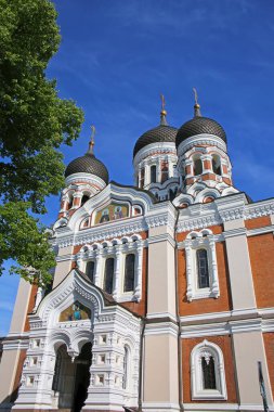 Nevsky Katedrali, Estonya 'nın Tallinn şehrinde bulunan bir ortodoks katedralidir.. 