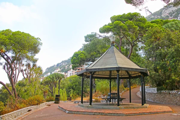 Pagoda Parque Con Árbol Del Dragón Las Islas Canarias Otras —  Fotos de Stock