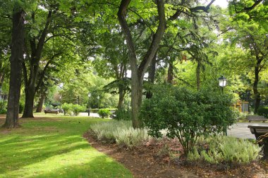 Praca da Estrela; Lizbon, Portekiz 'in tarihi şehir merkezindeki güzel şehir merkezi parkı veya bahçeleri.