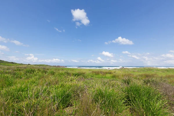 Nieuw Zuid-Wales kust — Stockfoto