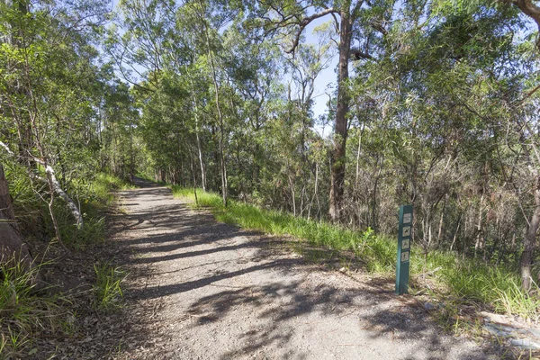 Övergiven skogen väg — Stockfoto