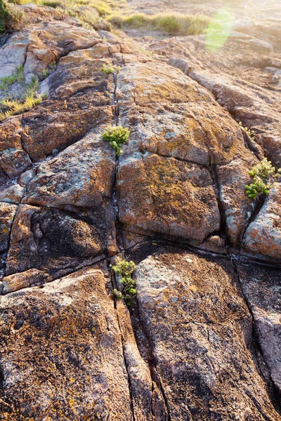 Coast rock surface — Stock Photo, Image