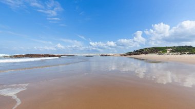 Yeni Güney Galler Sahili, doğa