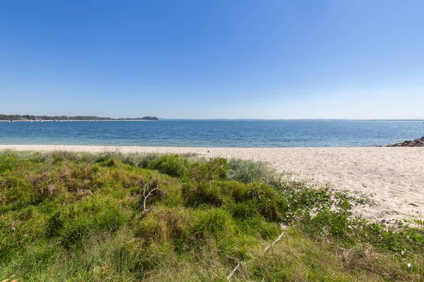 Avustralya Nelson Bay Beach — Stok fotoğraf