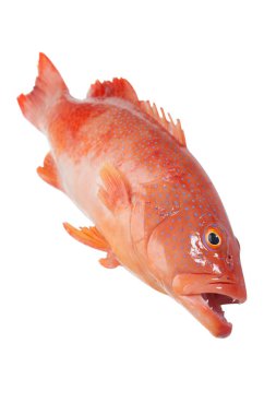 beyaz zemin üzerine kırmızı Gruplayıcı