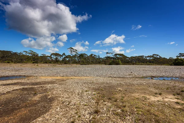 Grön Skog Natur Resor — Stockfoto