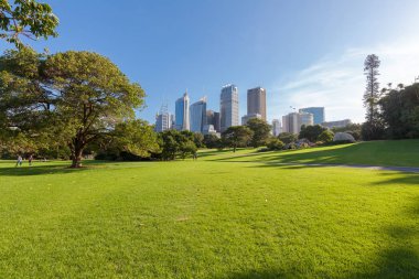 Sydney şehir kurma