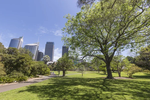 Sydney City Architettura Viaggi — Foto Stock