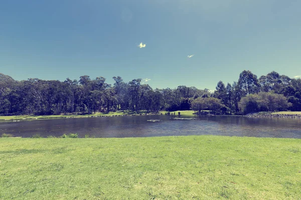 La rive du lac du parc Macquarie — Photo