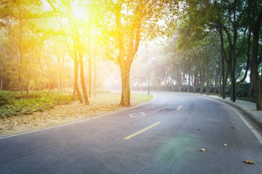 İnsansız orman yolu