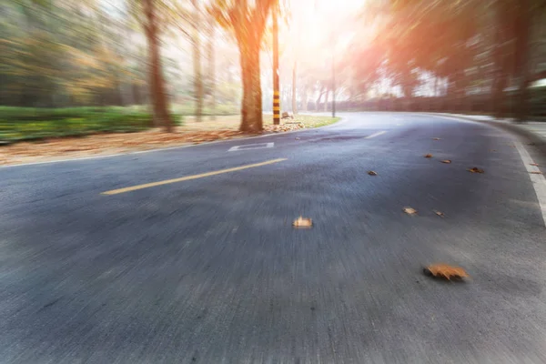 Unmanned Forest Road Travel — Stock Photo, Image