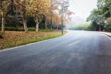 İnsansız orman yolu, yolculuk